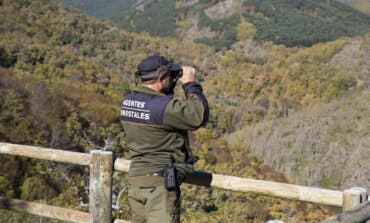 Un motorista atropella a un agente forestal de Madrid al intentar saltarse un control 