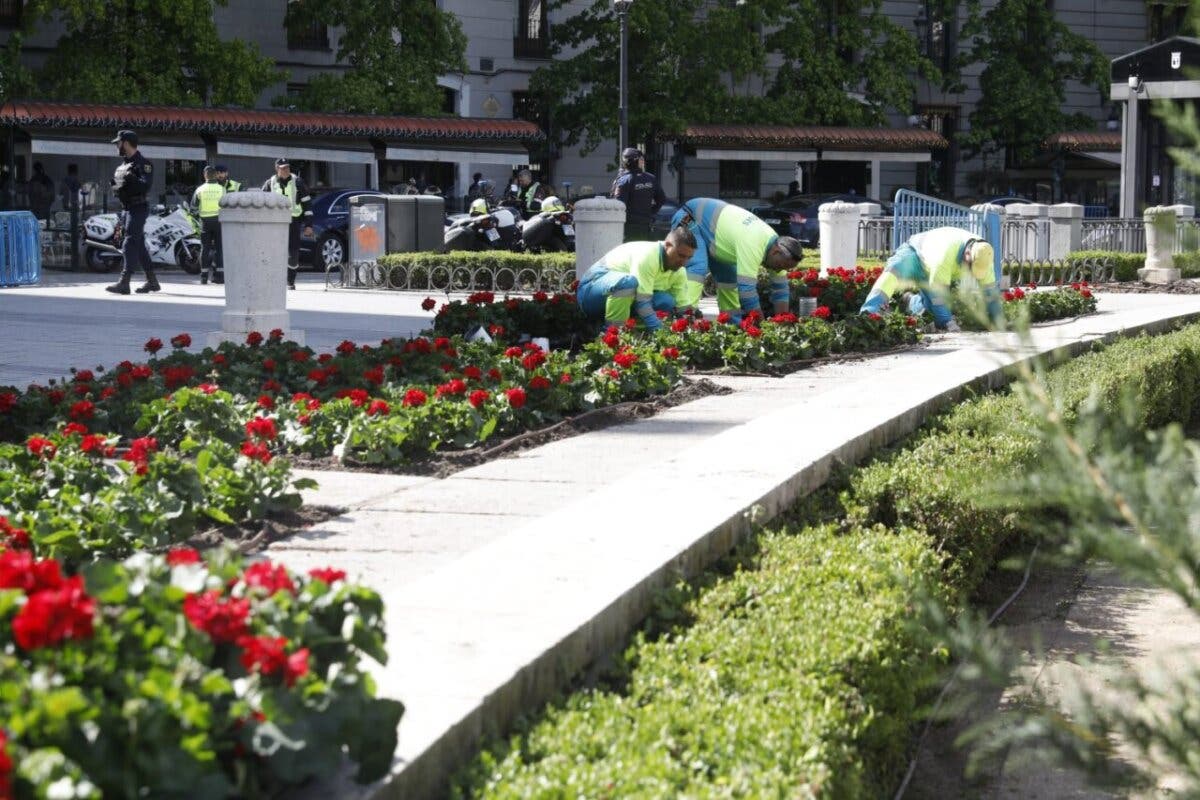 Madrid llena de flores sus calles con más de medio millón de nuevas plantas