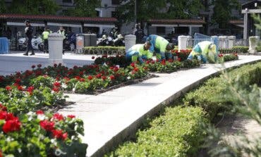 Madrid llena de flores sus calles con más de medio millón de nuevas plantas