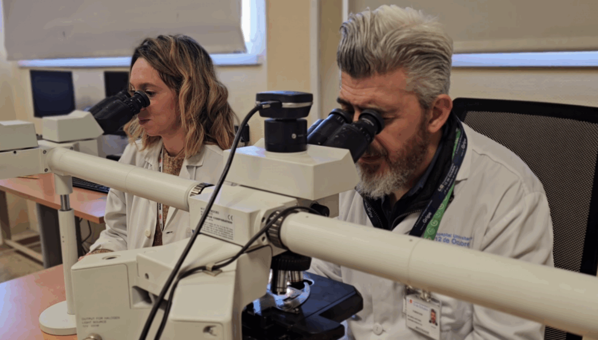 Investigadores madrileños identifican la causa que provoca que un tipo de tumor cerebral maligno sea más agresivo en hombres