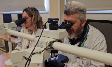 Investigadores madrileños identifican la causa que provoca que un tipo de tumor cerebral maligno sea más agresivo en hombres