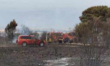 Controlado y en vías de extinción el incendio del Cerro del Viso que ha quemado 113 hectáreas de pasto y matorral 