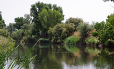 El Parque Regional del Sureste cumple 30 años 