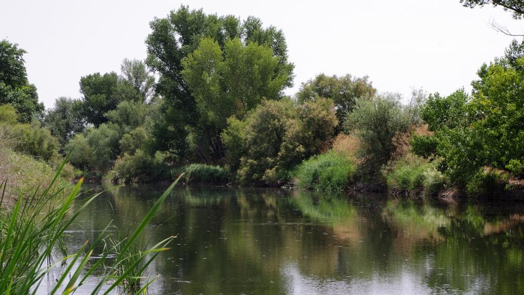 El Parque Regional del Sureste cumple 30 años 