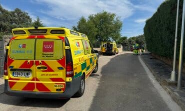 Trasladado grave en helicóptero al hospital un hombre tras morderle una víbora en su casa en Valdemorillo