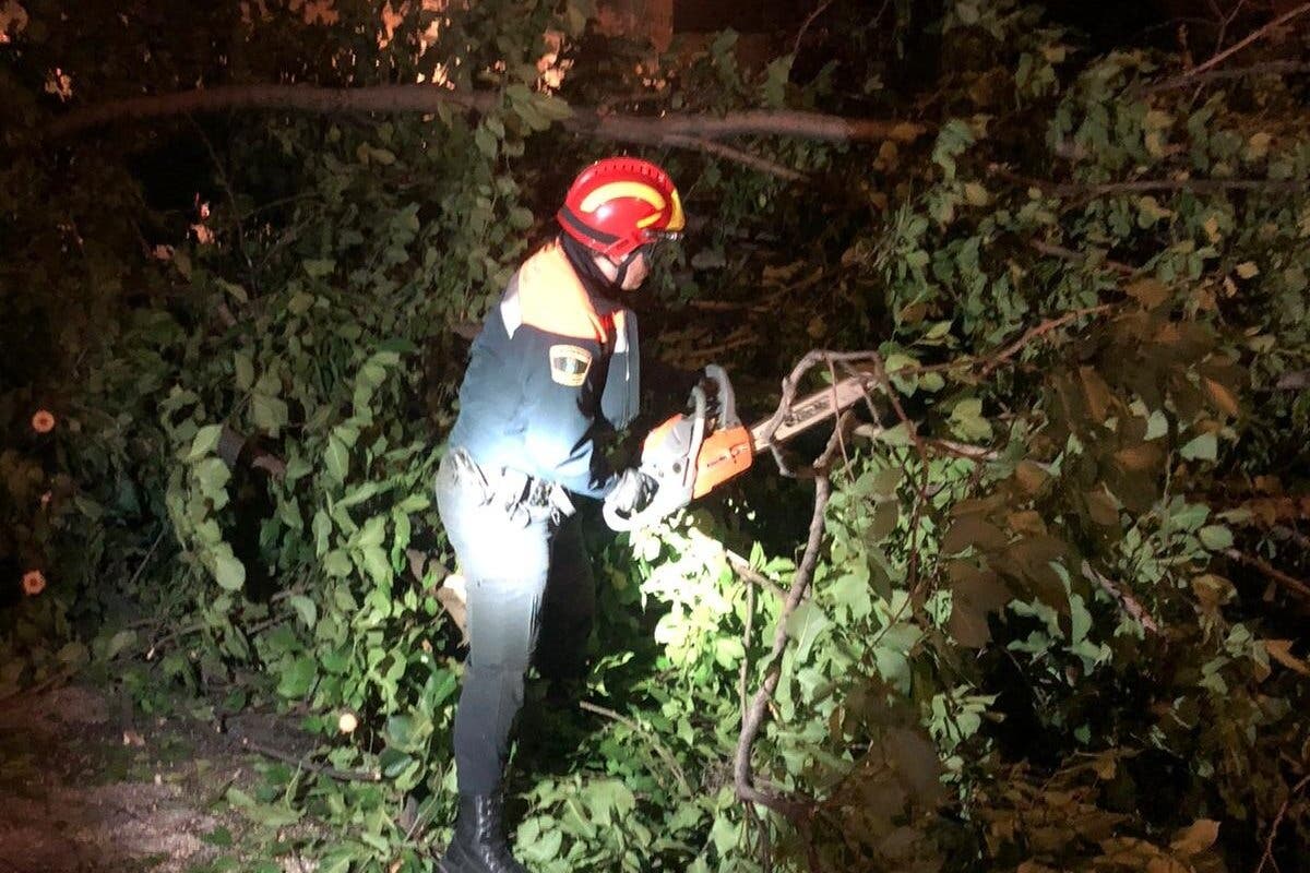 Las fuertes rachas de viento provocan varias incidencias en Alcalá de Henares