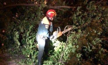 Las fuertes rachas de viento provocan varias incidencias en Alcalá de Henares