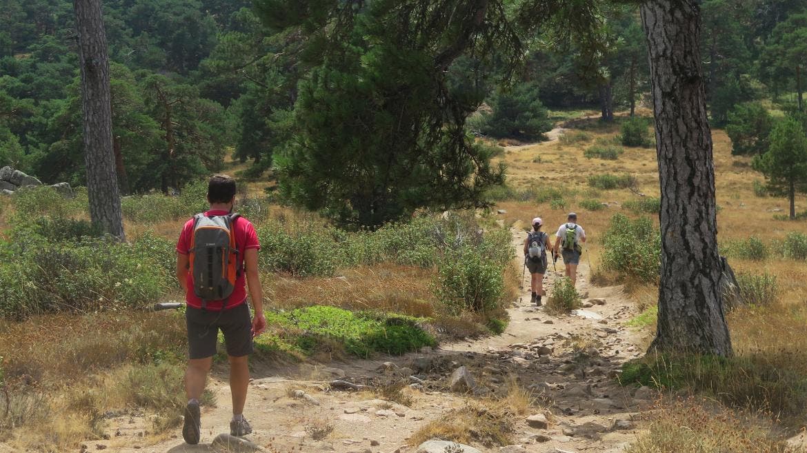 La Comunidad de Madrid estrena cuatro nuevas Rutas Verdes que combinan transporte público y recorridos a pie o en bici