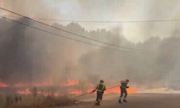 Un incendio forestal provocado por un camión obliga a cortar la A-1 en El Molar