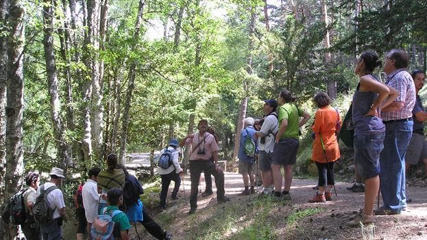 Logran clonar árboles singulares de Alcalá, Coslada y Rivas que sufrieron daños durante Filomena