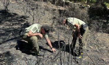 Esclarecidas las causas del 82 % de los incendios forestales registrados en Madrid en 2023