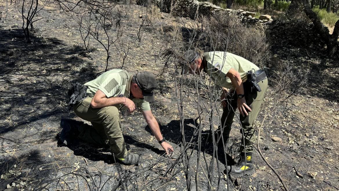 Esclarecidas las causas del 82 % de los incendios forestales registrados en Madrid en 2023