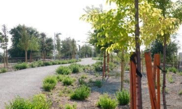 Madrid planta 304 nuevos árboles y 2.188 arbustos en El Cañaveral