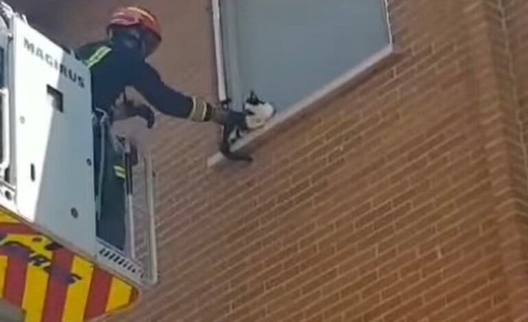 Los Bomberos rescatan a un gato atrapado en una ventana en Velilla de San Antonio 