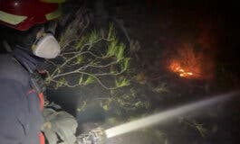 Un incendio en una zona forestal obliga a desalojar viviendas en Rivas