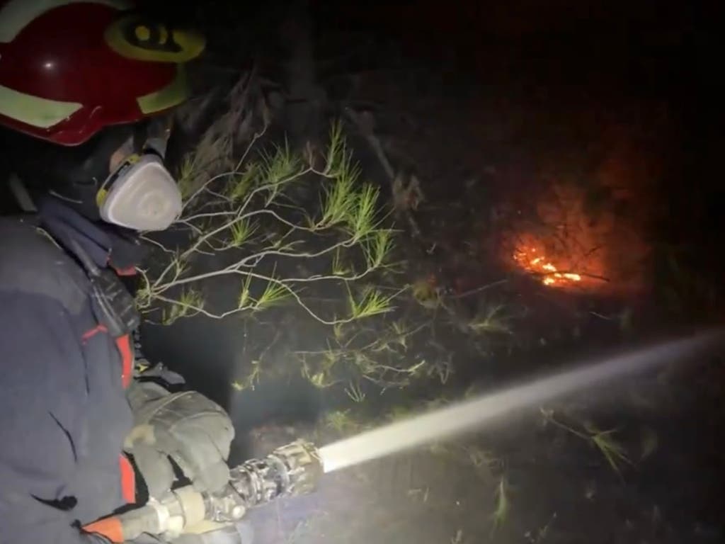 Un incendio en una zona forestal obliga a desalojar viviendas en Rivas