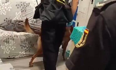 Liberadas seis víctimas de trata con fines de explotación sexual en Madrid