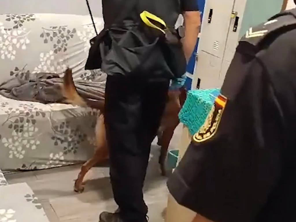 Liberadas seis víctimas de trata con fines de explotación sexual en Madrid