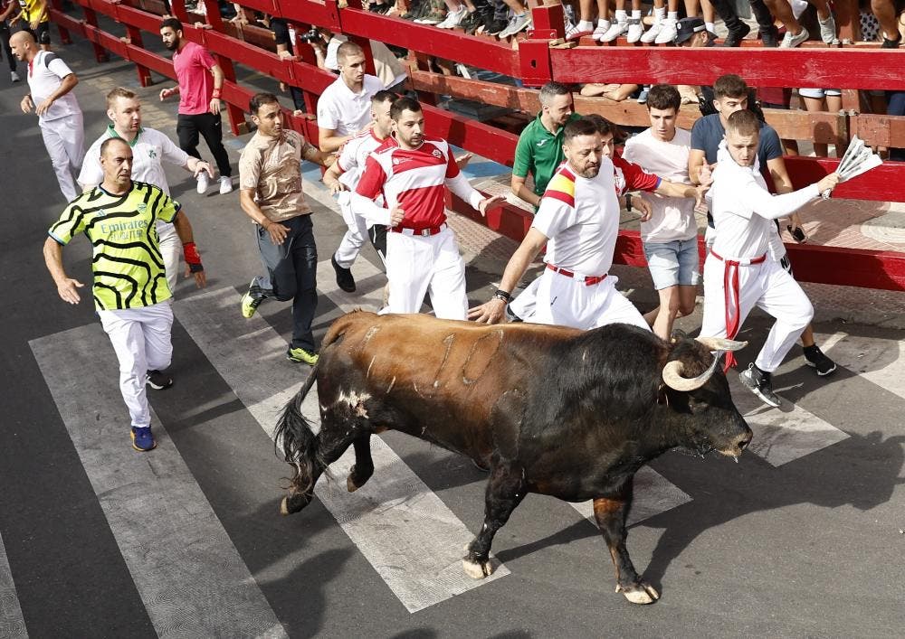 Seis heridos en el primer encierro de las Fiestas de Sanse