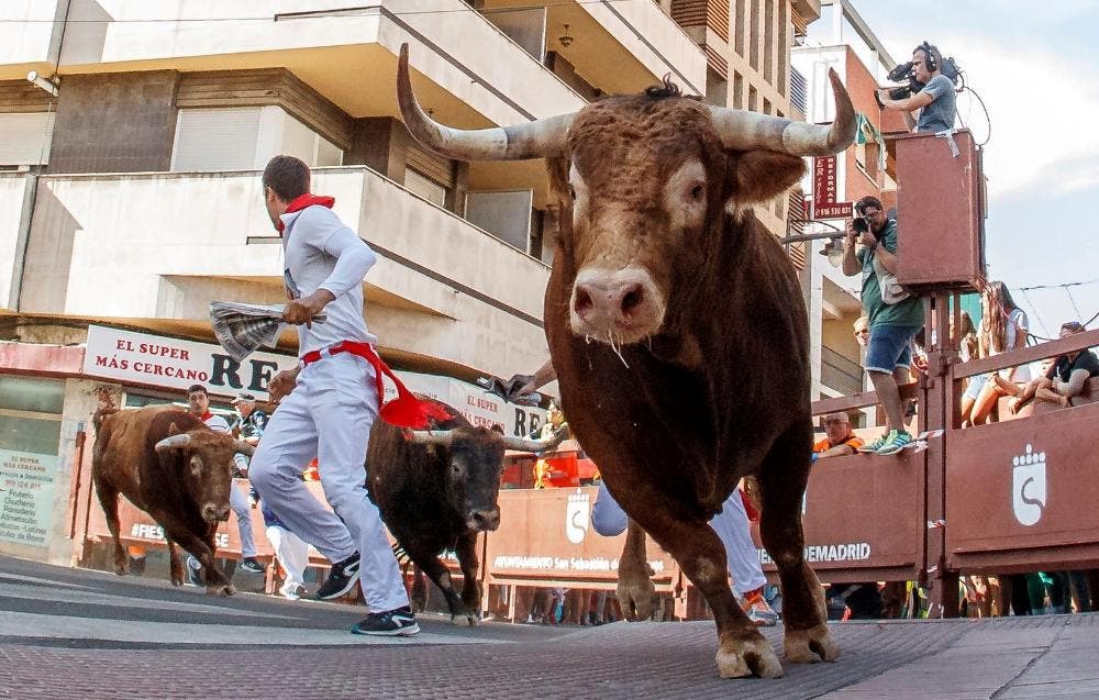 Diez heridos en el tercer encierro de las Fiestas de Sanse