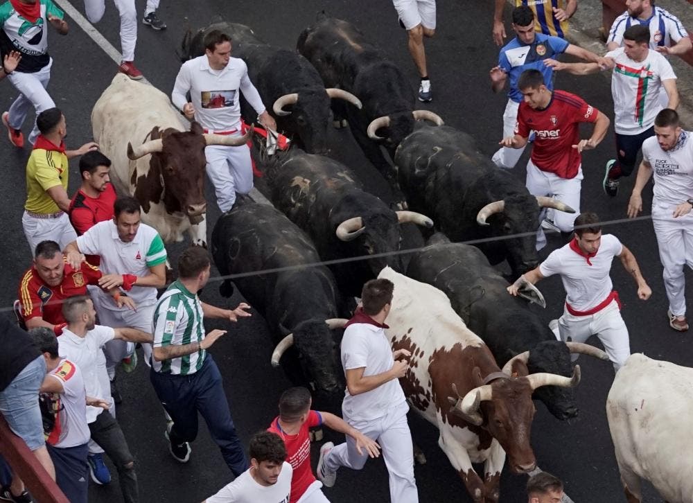 Nueve heridos en el penúltimo encierro de las Fiestas de Sanse, el más rápido hasta ahora