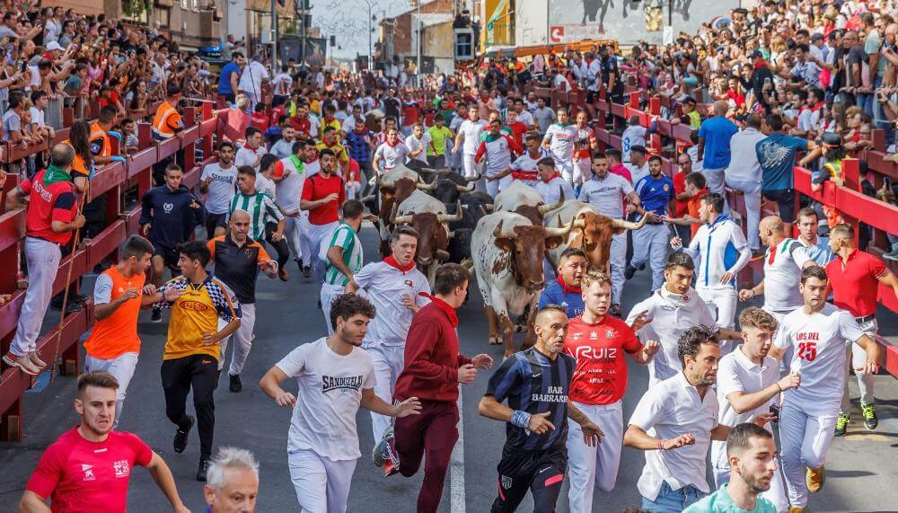 El último encierro de las Fiestas de Sanse termina con cinco heridos por caídas