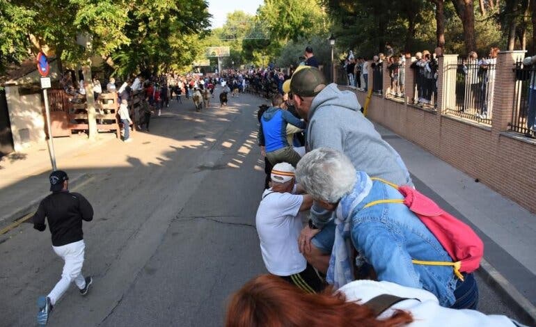 Muere un hombre tras ser corneado en el último encierro de las Fiestas de Villaviciosa de Odón
