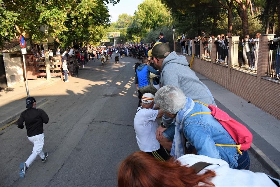 Muere un hombre tras ser corneado en el último encierro de las Fiestas de Villaviciosa de Odón