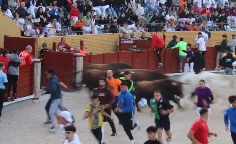 Un joven herido grave en la suelta posterior del primer encierro de las Fiestas de Guadalajara 