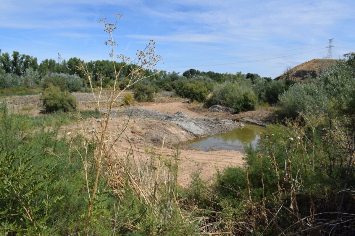 Comienza la restauración de la laguna de Las Islillas en Mejorada del Campo
