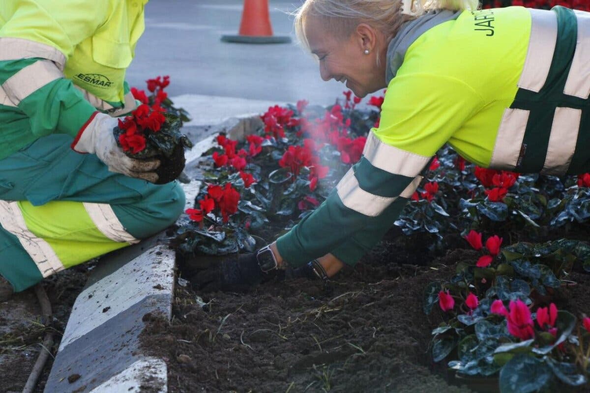 Arganda inicia la plantación de 11.000 flores de temporada en diferentes puntos de la ciudad 