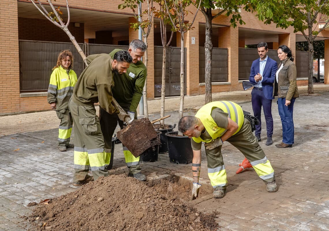 Torrejón invita a los vecinos a participar en una plantación de árboles el próximo 26 de octubre 