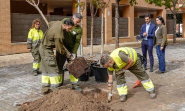 Torrejón invita a los vecinos a participar en una plantación de árboles el próximo 26 de octubre 