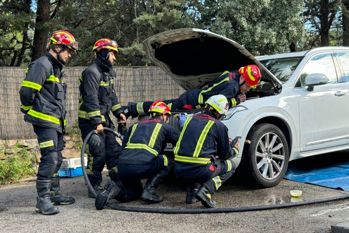 Aparatoso rescate de una gata atrapada en el motor de un coche en Boadilla