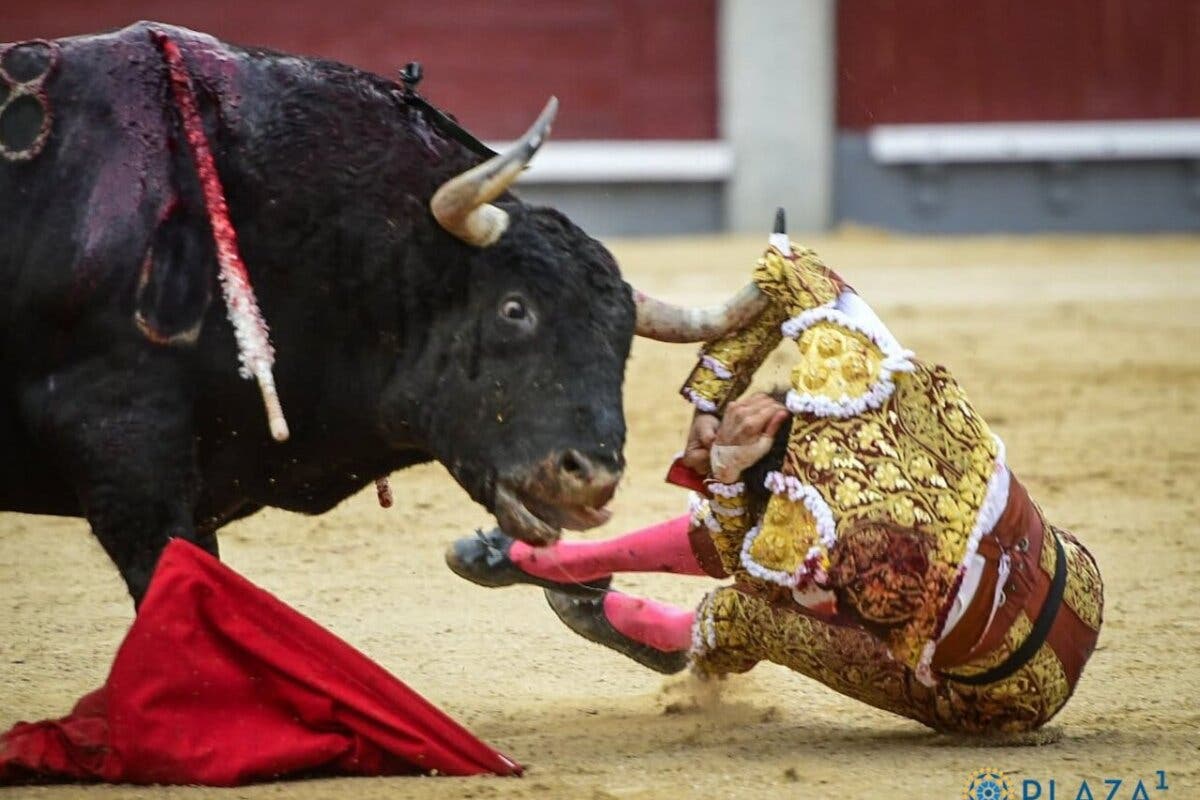Roca Rey, grave tras sufrir una cornada en Las Ventas