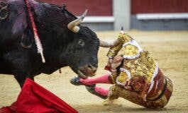Roca Rey, grave tras sufrir una cornada en Las Ventas
