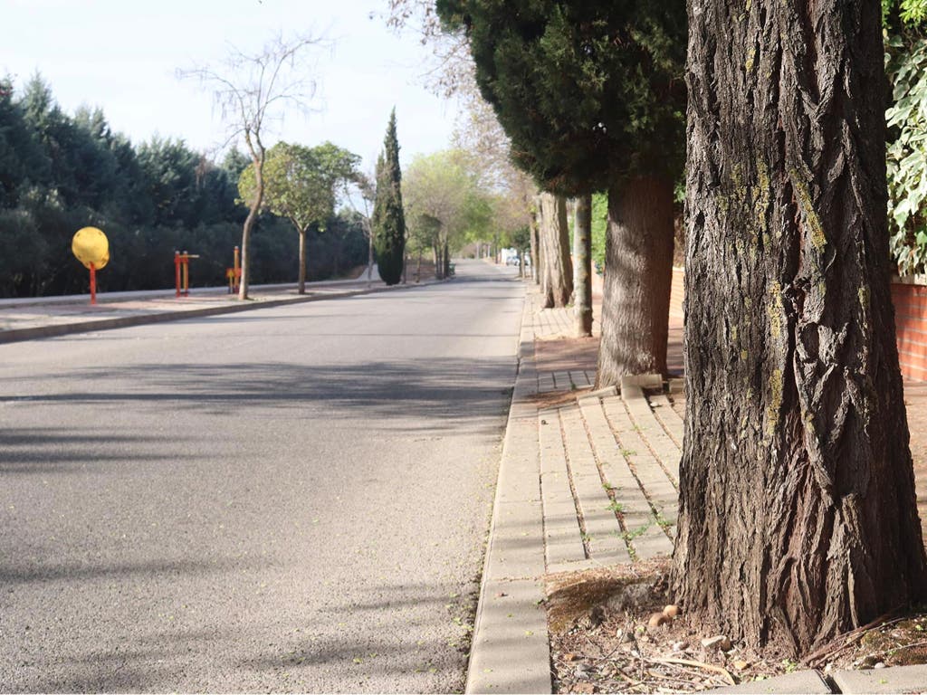 Cabanillas invertirá un millón de euros en la reforma integral de una de las vías principales del Mirador