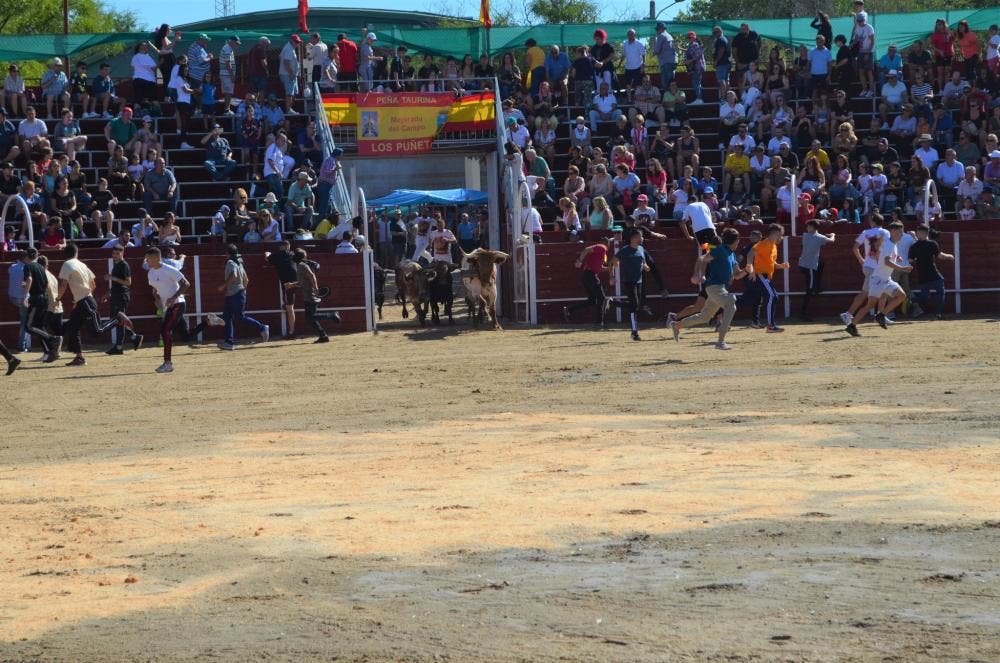 Baile con orquesta, limonada gratuita y un encierro… Mejorada del Campo celebra las Fiestas del Pilar 