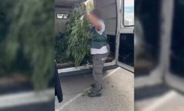 Dos detenidos por cultivar marihuana en un chalé de Valdetorres de Jarama
