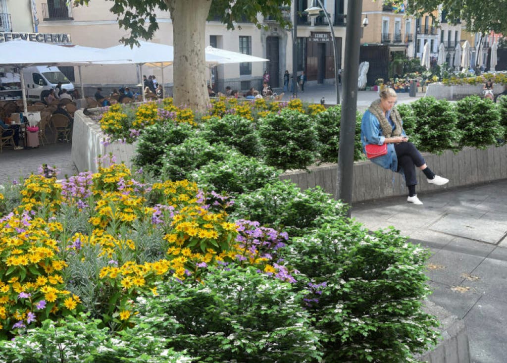Madrid reformará la Plaza de Tirso de Molina que contará 46 nuevos árboles