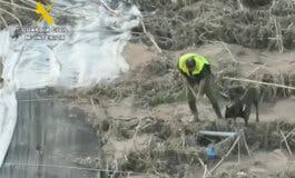 Un niño de cinco años, última víctima mortal localizada tras la DANA en Valencia  