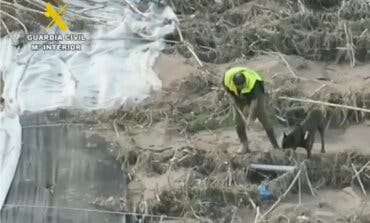 Un niño de cinco años, última víctima mortal localizada tras la DANA en Valencia  
