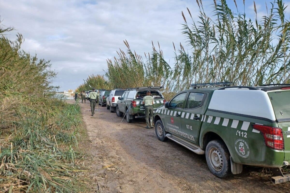 Madrid envía a Valencia 50 voluntarios de Metro y 12 agentes forestales de refuerzo para seguir buscando desaparecidos  