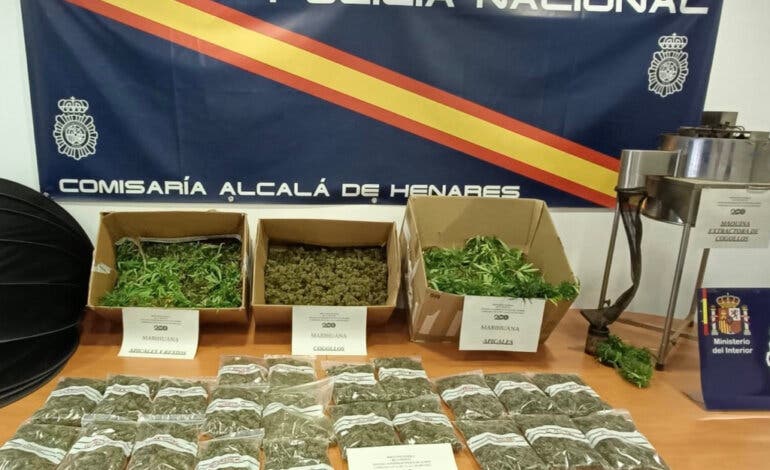 Detenidos padre e hijo por cultivar marihuana en Alcalá de Henares