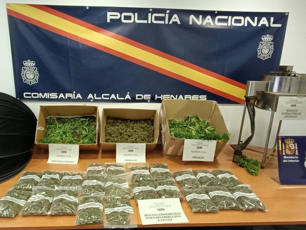 Detenidos padre e hijo por cultivar marihuana en Alcalá de Henares