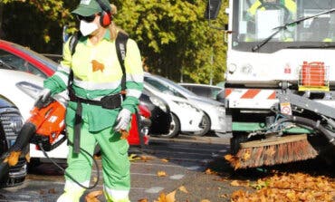 Arganda inicia la campaña de recogida de hojas 