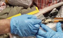 Siete detenidos en Madrid e intervenidas 67.744 pastillas de éxtasis y 15 kilos de MDMA