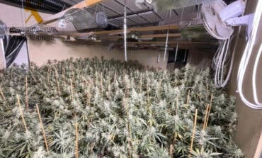 Cuatro detenidos por cultivar marihuana en una nave de Arganda del Rey 