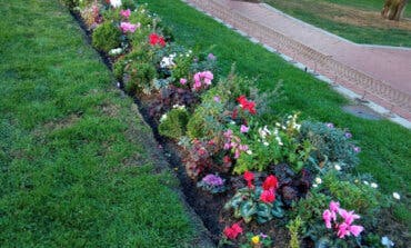 Alcalá de Henares planta más de 15.000 flores de temporada para embellecer la ciudad