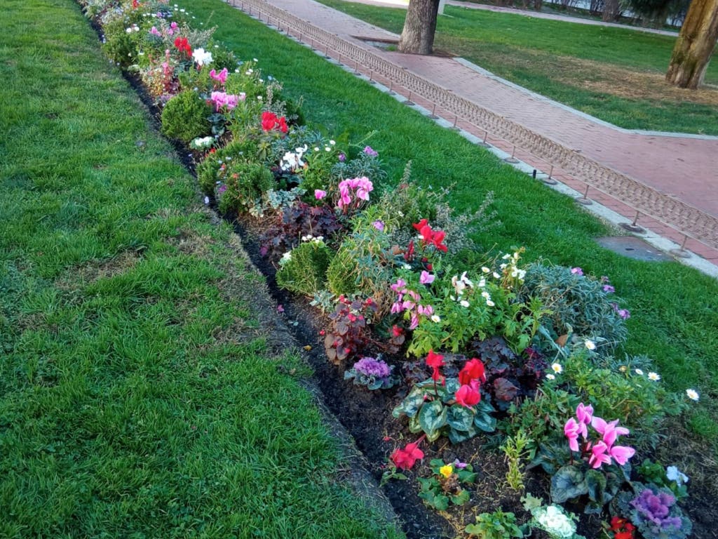 Alcalá de Henares planta más de 15.000 flores de temporada para embellecer la ciudad